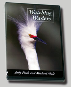 Watching Waders DVD